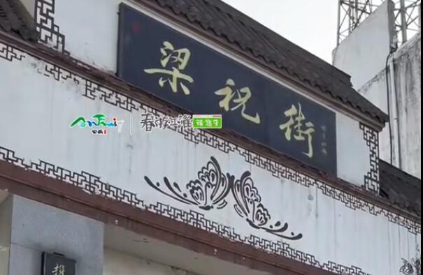 【游舒城】楊主任來跟大家介紹南港鎮的舒城小蘭花啦